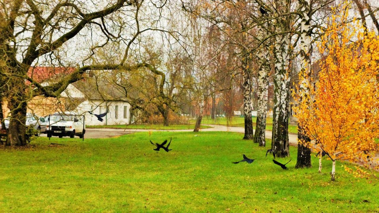Hanacky Dvur Olomouc Ngoại thất bức ảnh